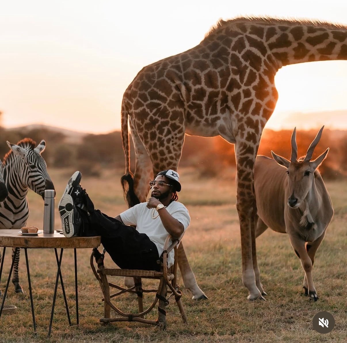Serengeti, Africa